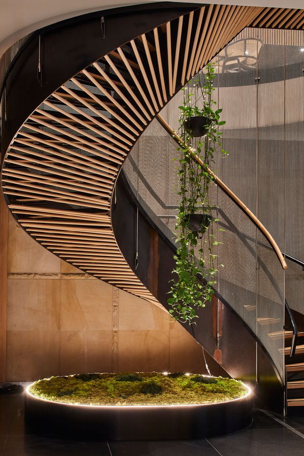 Interior architectural photograph focused on a dramatic sculptural spiral staircase. The staircase features dark curved structural elements, closely spaced warm timber balusters, a fine dark metal mesh guardrail, and a timber handrail. Hanging plants descend through the stair void, while a circular raised planter with moss and integrated strip lighting anchors the base. Warm timber and bronze-toned wall panels contrast with dark flooring and metalwork.