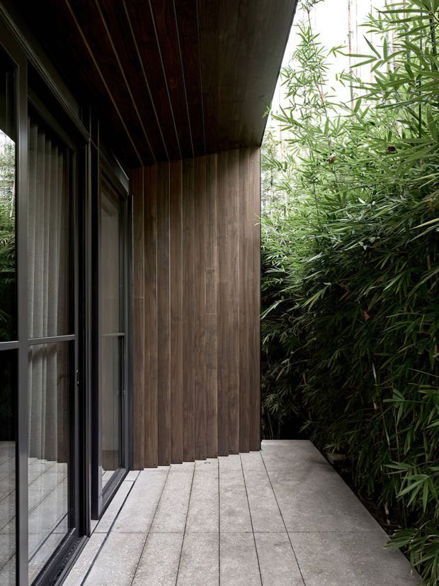 A narrow exterior walkway or terrace runs alongside a modern building. Dark-framed full-height glazed doors reflect the adjacent space, while vertical dark timber cladding wraps the wall and soffit. Dense bamboo-like planting borders the concrete-paved path, creating a sheltered, highly textured contemporary facade.