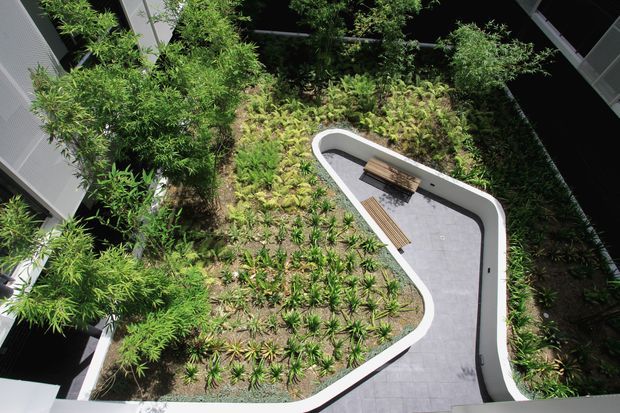 Aerial view of a landscaped internal courtyard or rooftop garden between modern building wings. Dense layered planting surrounds a curving light-grey paved path or terrace with integrated bench seating and a smooth white raised edge.