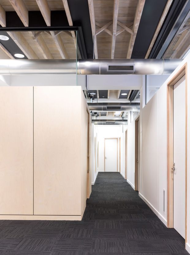 A modern commercial hallway with dark modular carpet flooring, white walls, pale timber door frames and extensive built-in timber partitions. The exposed ceiling features pale timber beams and panels alongside black acoustic sections, visible ductwork, recessed lighting, and a glazed internal partition. The corridor is bright, clean, and functional with a strong contrast between the dark floor and light finishes.