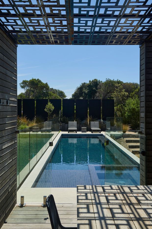A modern outdoor pool courtyard viewed from a shaded timber-clad structure. A narrow rectangular tiled swimming pool is enclosed by frameless glass balustrades, with a timber deck, dark privacy screens, ornamental grasses, outdoor lounge chairs, and mature vegetation beyond. A distinctive overhead timber lattice pergola casts geometric shadows across the deck and pool surround.