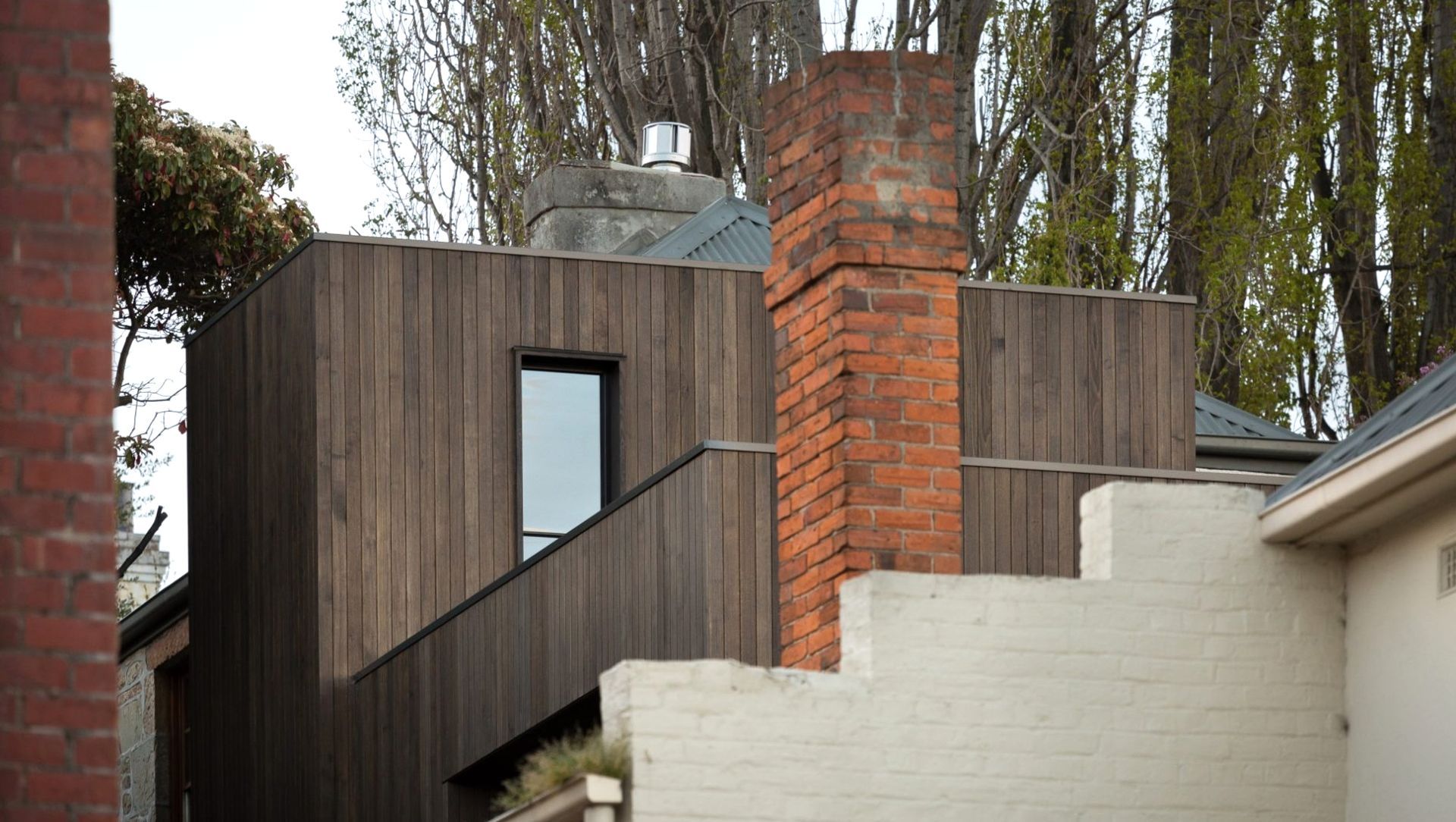 Blue Magnolia banner