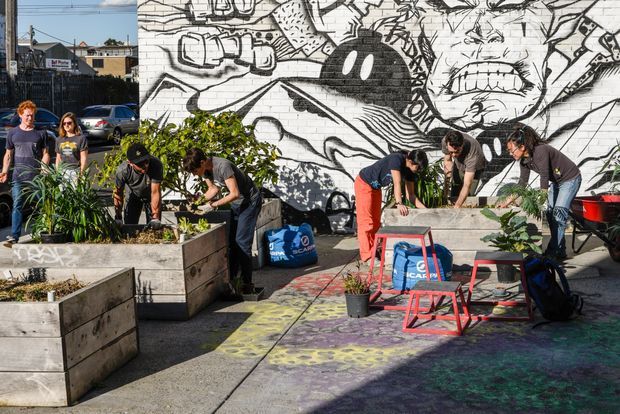 A sunny urban community gardening scene in a paved outdoor space. Several people are planting and tending greenery in large timber raised garden beds, with gardening tools, soil, bags, and plants scattered around. A large black-and-white graffiti mural covers the wall behind them, while parked vehicles and low-rise urban buildings are visible in the background.