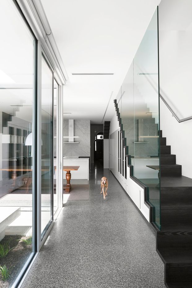 Bright contemporary residential hallway with a polished grey speckled floor, full-height glazing along the left side, and a dramatic black stairway enclosed by clear glass balustrades on the right. White walls and ceiling create a clean, minimalist feel, while a glimpse of a kitchen and dining area is visible to the left. A dog is present in the corridor.