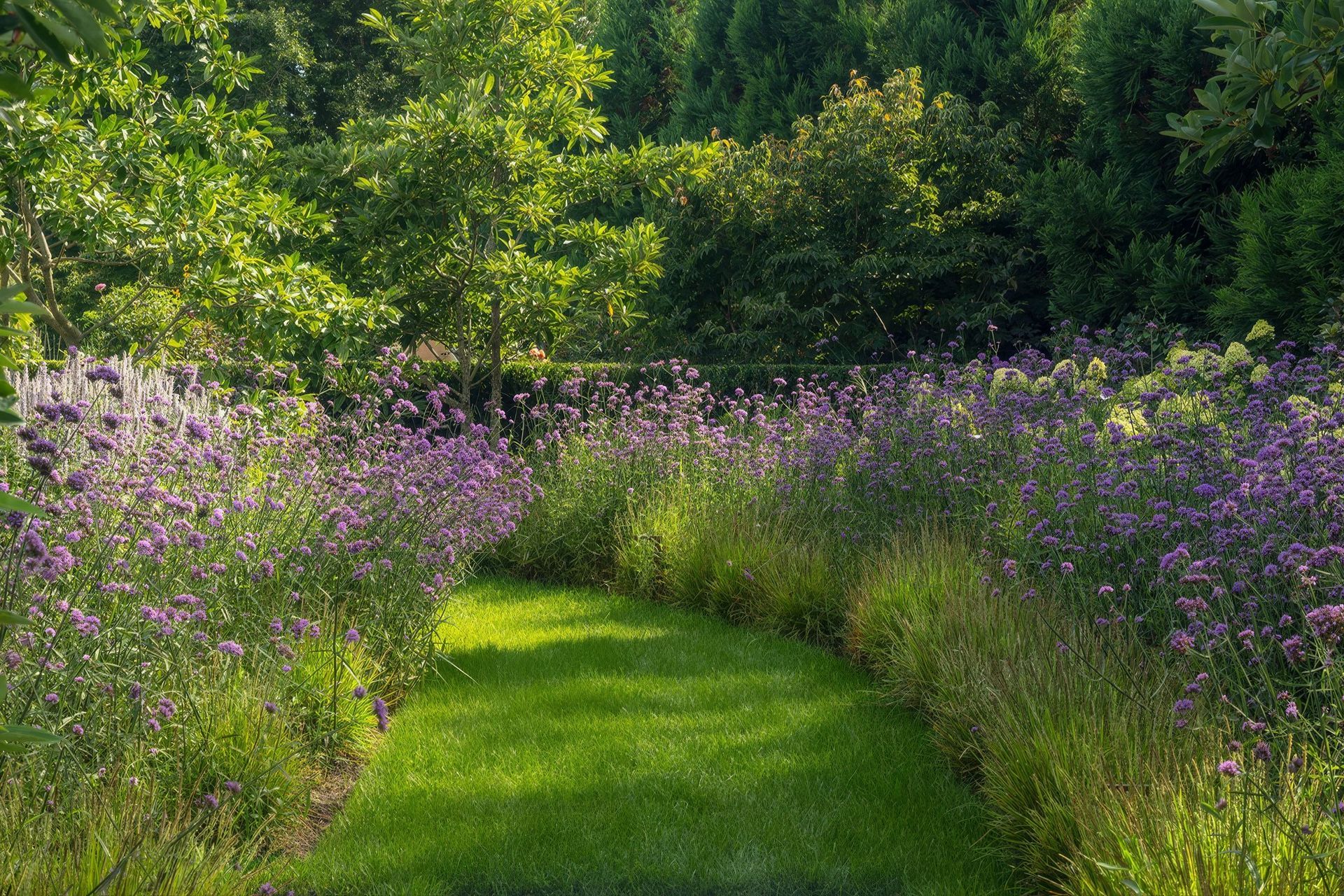 CoveHollow10-upscaled-by-Replicate.jpg