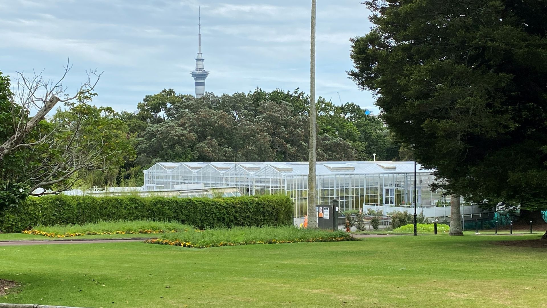 Domain Glasshouses banner