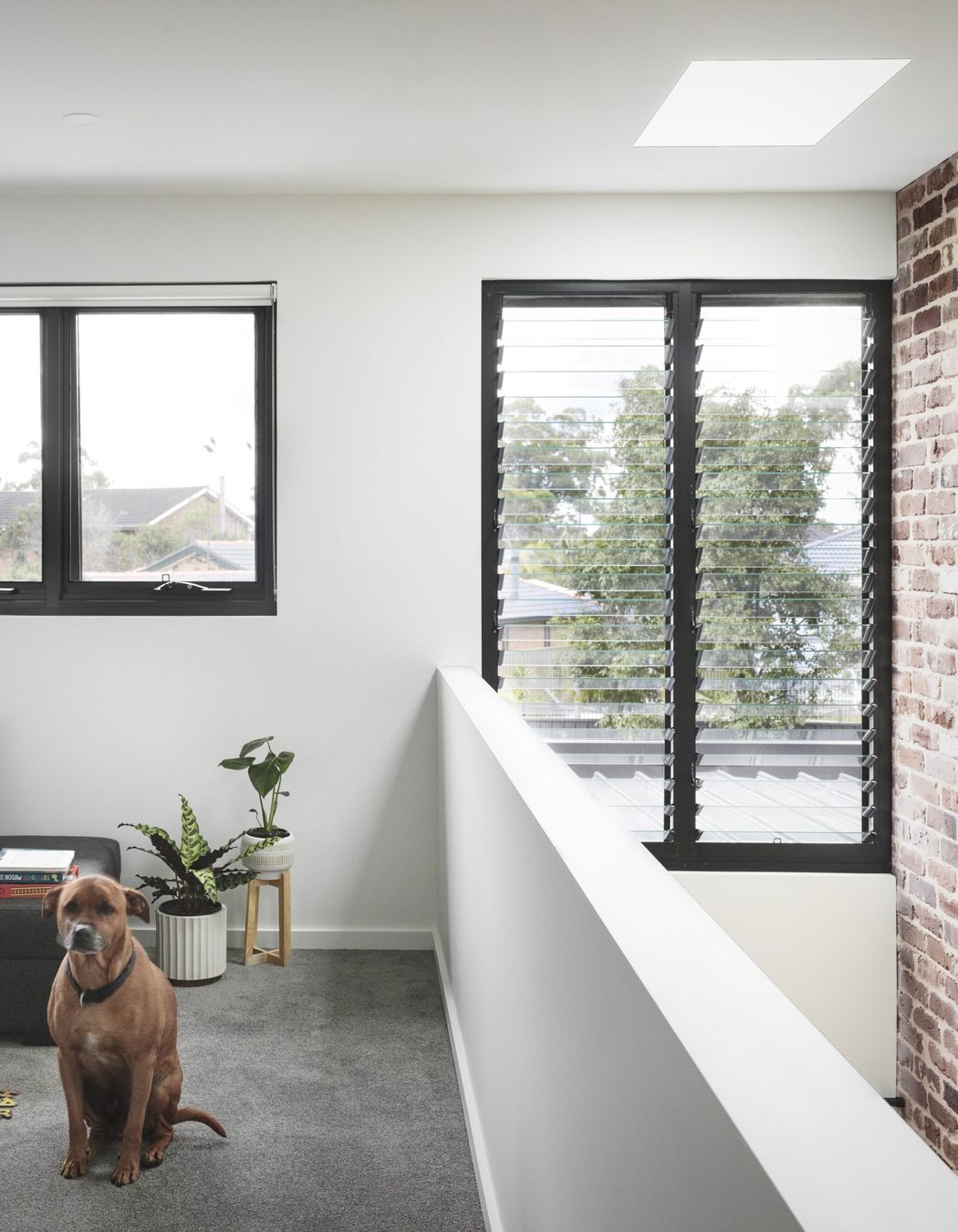 Contemporary Gymea Bay Duplex