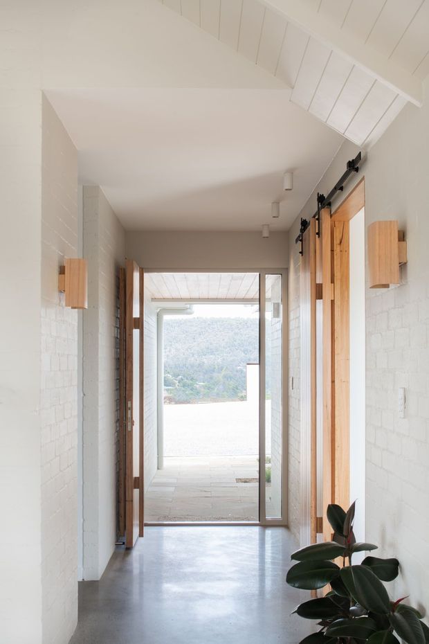A bright, minimalist residential hallway with white-painted brick walls, a smooth grey concrete floor, and a white-lined pitched ceiling. Natural timber sliding or hinged doors and compact timber wall sconces line the corridor, while a glazed entrance at the far end opens toward a covered outdoor area and a leafy hillside beyond. A potted rubber plant adds greenery in the foreground.