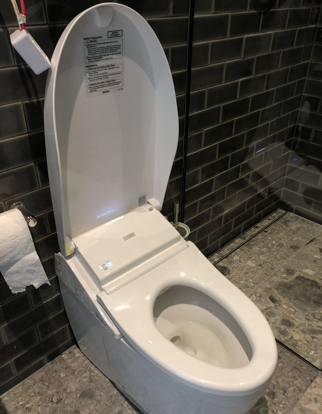 Fancy Toilet