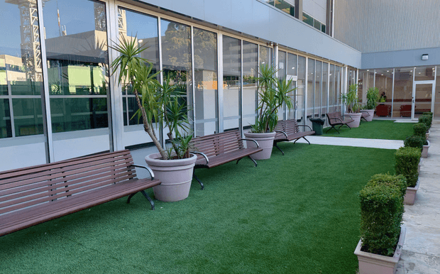 A landscaped outdoor courtyard beside a modern commercial building, featuring artificial green turf, a row of large potted yucca plants, timber-look benches with dark metal frames, clipped hedge planters, and extensive floor-to-ceiling glazing with white and grey facade panels.