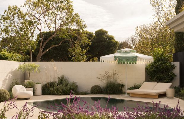 A tranquil landscaped pool courtyard with a rectangular swimming pool, pale rendered boundary wall, sculptural white outdoor lounge chair, timber sun lounger, and a large fringed green-and-white parasol. Native-style planting, clipped shrubs, ornamental grasses, and purple flowering groundcover create a relaxed contemporary garden setting.