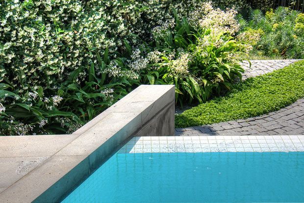 A close-up view of a modern swimming pool edge with bright turquoise water, pale concrete coping and a low concrete wall. Dense tropical planting surrounds the pool, while a paved path and neatly clipped groundcover are visible in the background.