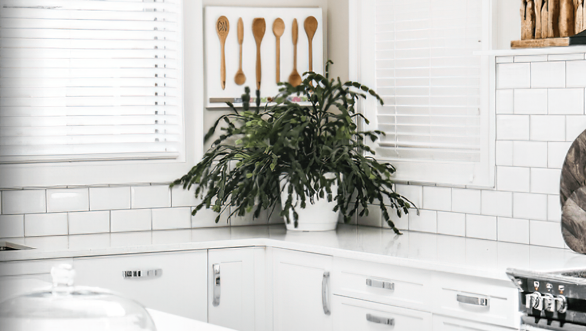 English Summer Residence banner