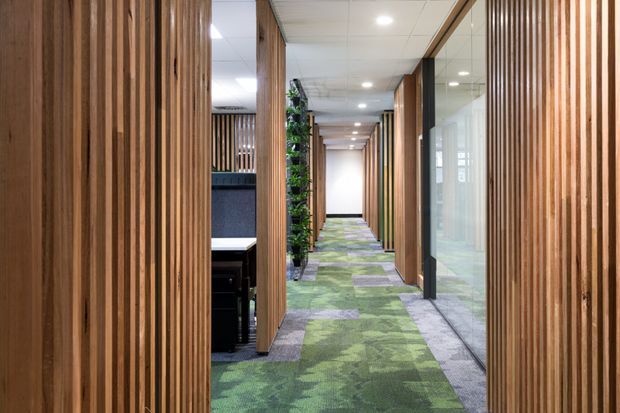 A contemporary commercial office hallway with a long perspective view, framed by vertical timber slat screens and timber-clad columns. Glass-partitioned offices line the right side, while workstations are partially visible on the left. The corridor has patterned green, purple, and grey carpet tiles, recessed ceiling lighting, and indoor planting, creating a modern, warm, biophilic workplace atmosphere.
