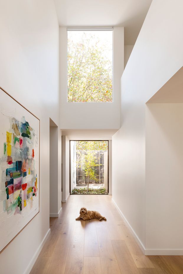 A bright, narrow residential hallway with pale timber flooring and white walls. A large abstract artwork hangs on the left wall, while two tall windows bring in abundant natural light and overlook leafy outdoor areas. The corridor has clean, contemporary lines, a high ceiling, and a small dog lying on the floor.