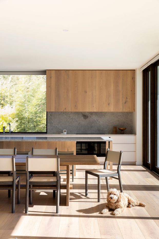 A bright, open-plan kitchen and dining area with full-height glazing, warm timber cabinetry, a grey stone-look splashback, pale timber flooring, and a central island. A simple timber dining table with dark-framed woven-seat chairs occupies the foreground, while strong sunlight creates defined shadows across the floor.