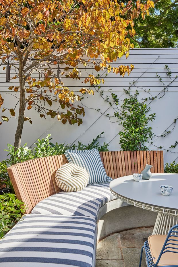 A bright landscaped outdoor courtyard or patio with a curved built-in timber slatted bench, striped upholstered cushions, a round outdoor table, and a blue-framed chair. A white horizontal-clad garden wall, climbing vines, mature trees, and planting create a leafy private setting.