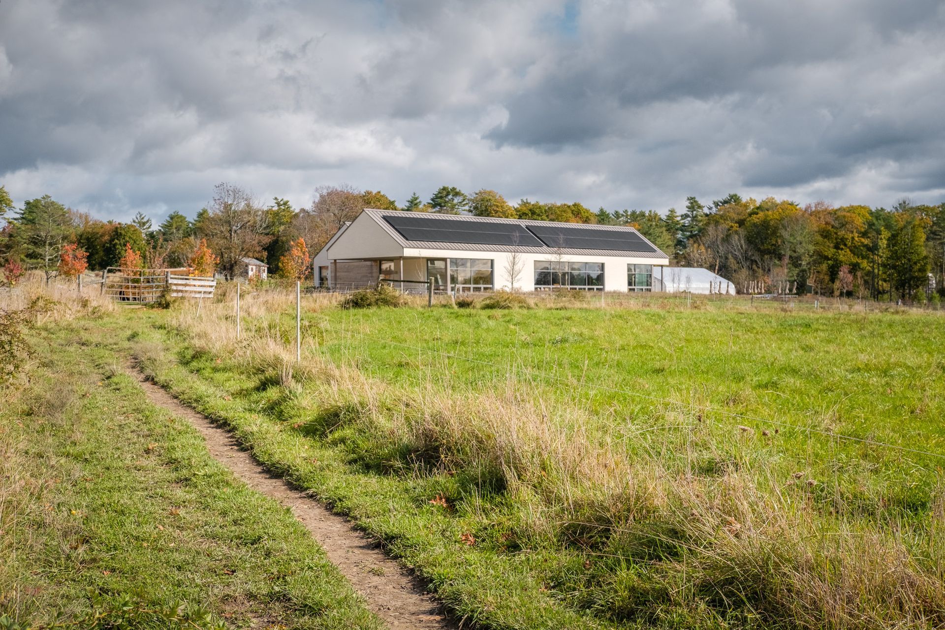 WEBDSCF2538-Edit.jpg