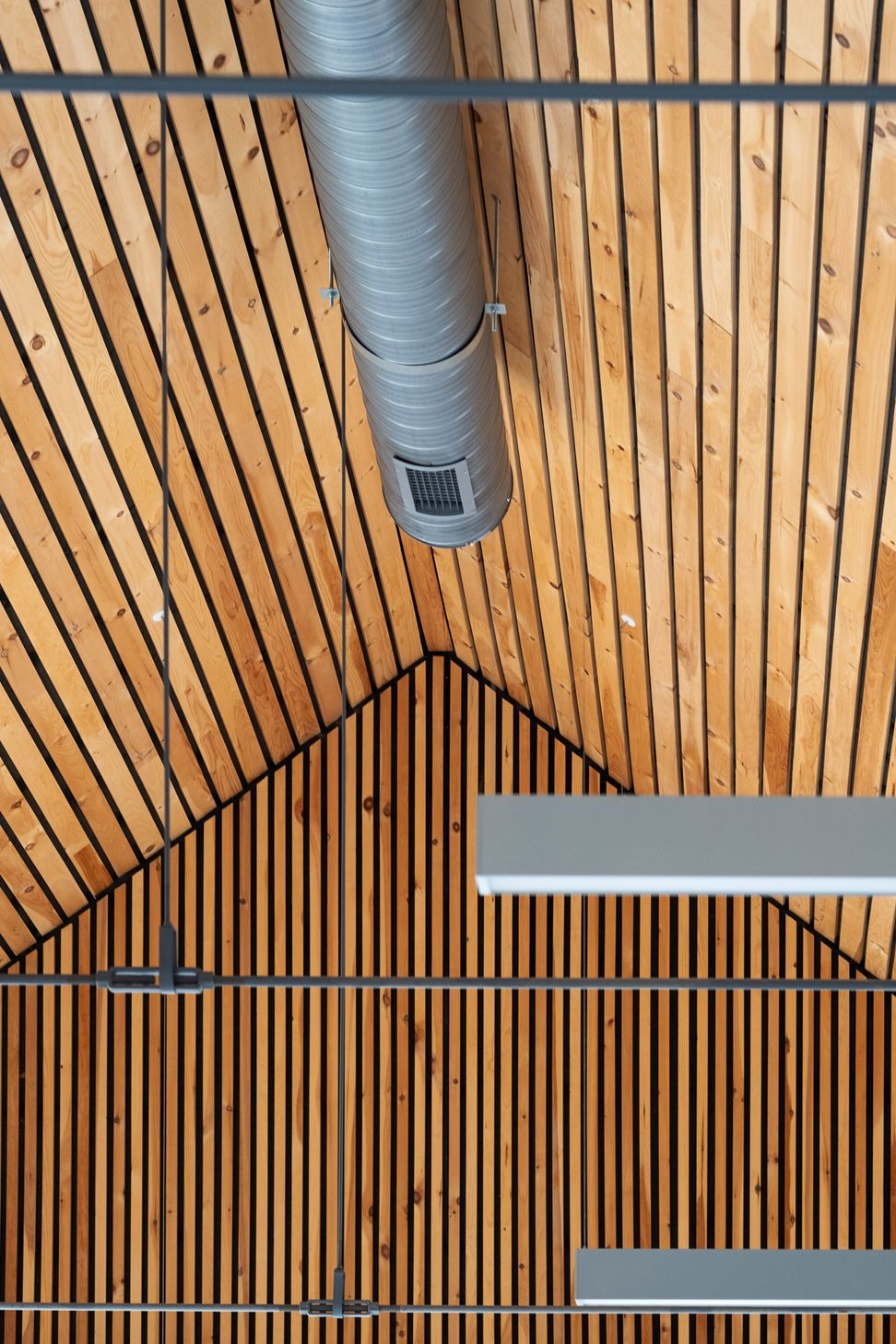 WEBDSCF2655-Edit.jpg