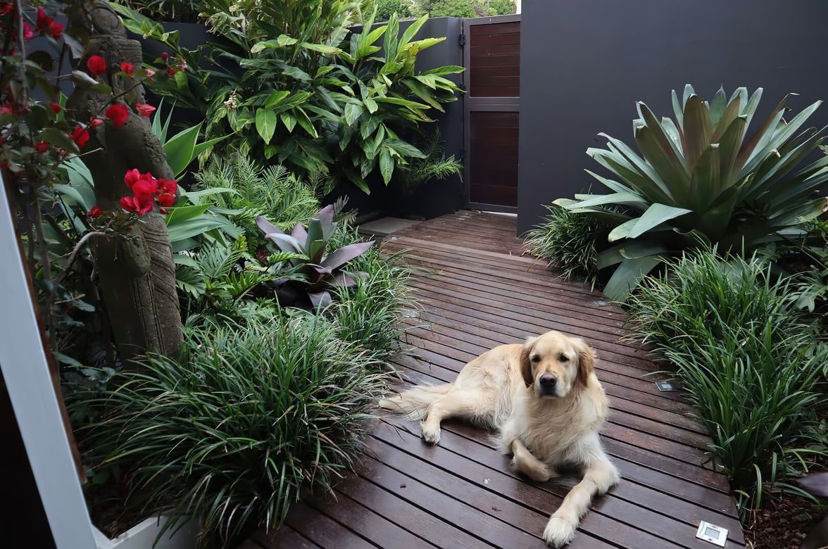 Landscape Design Clovelly