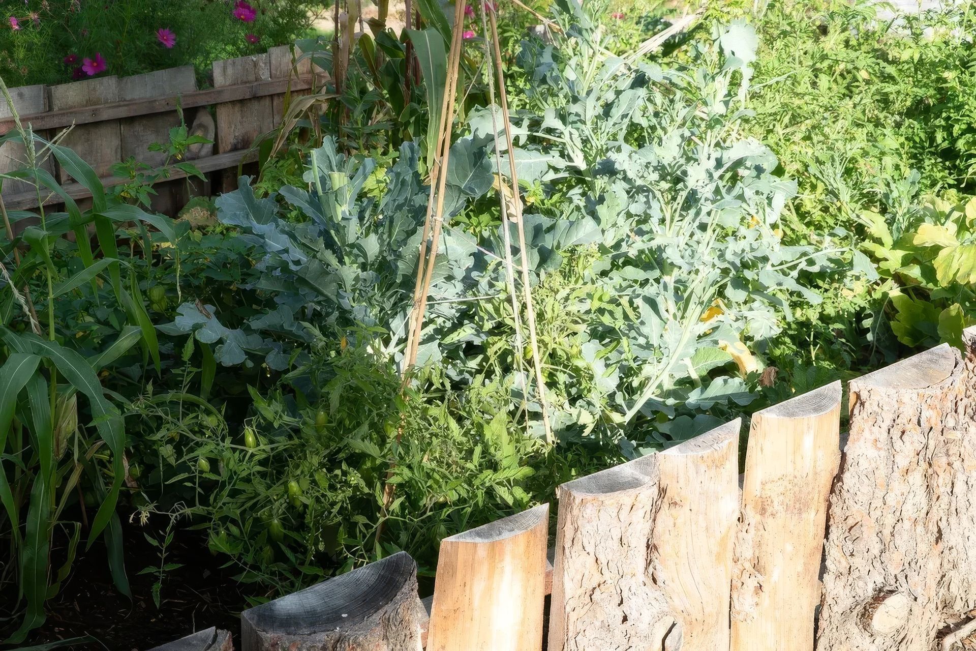 imgi83StudioCampo-JuniperFarmstead-Sept2025-20-ap-compressed-upscaled-by-Replicate.jpg