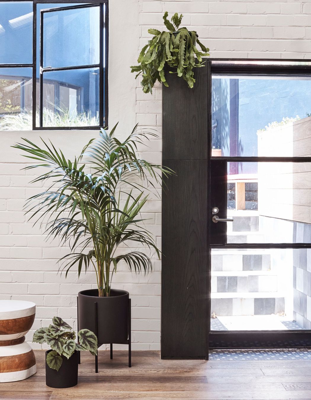 Photography: Christopher Morris