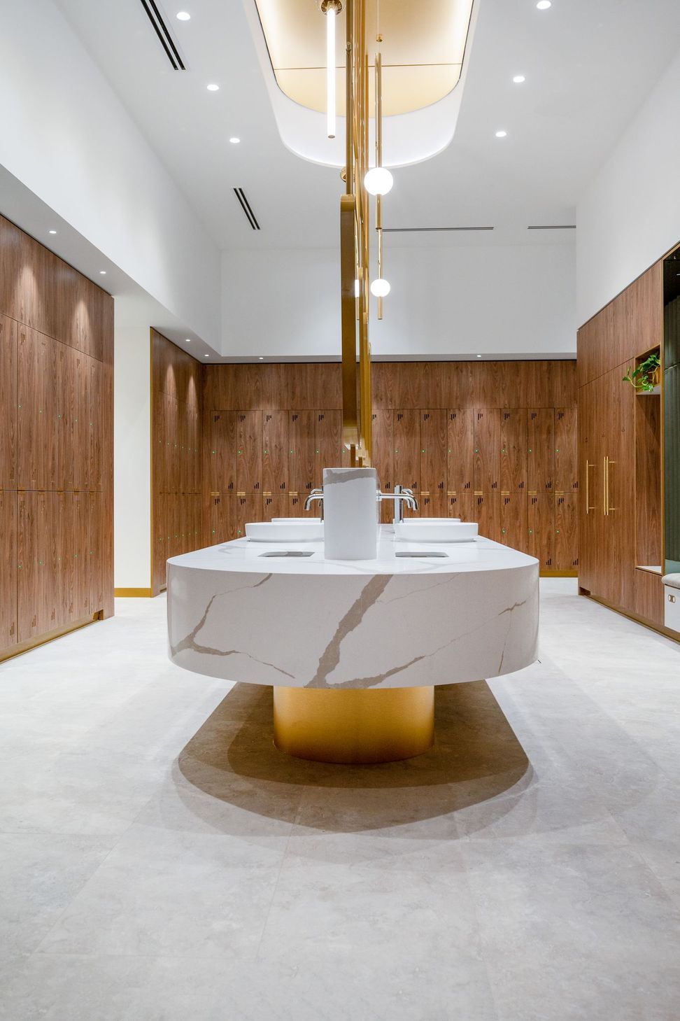 Opulent Amenity Spaces