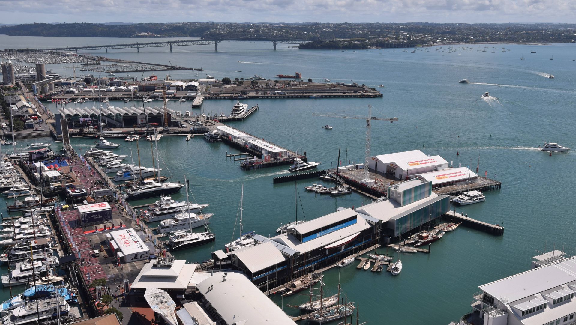 Wynyard Alliance - Americas Cup Development banner