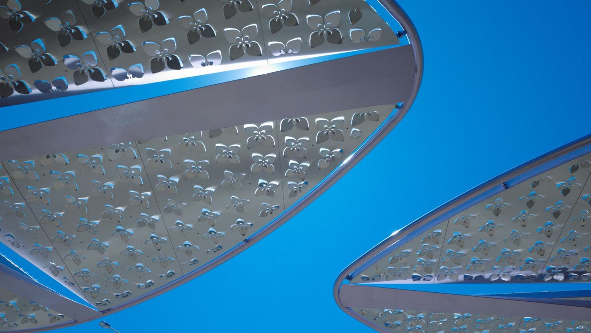 Boronia Structures banner