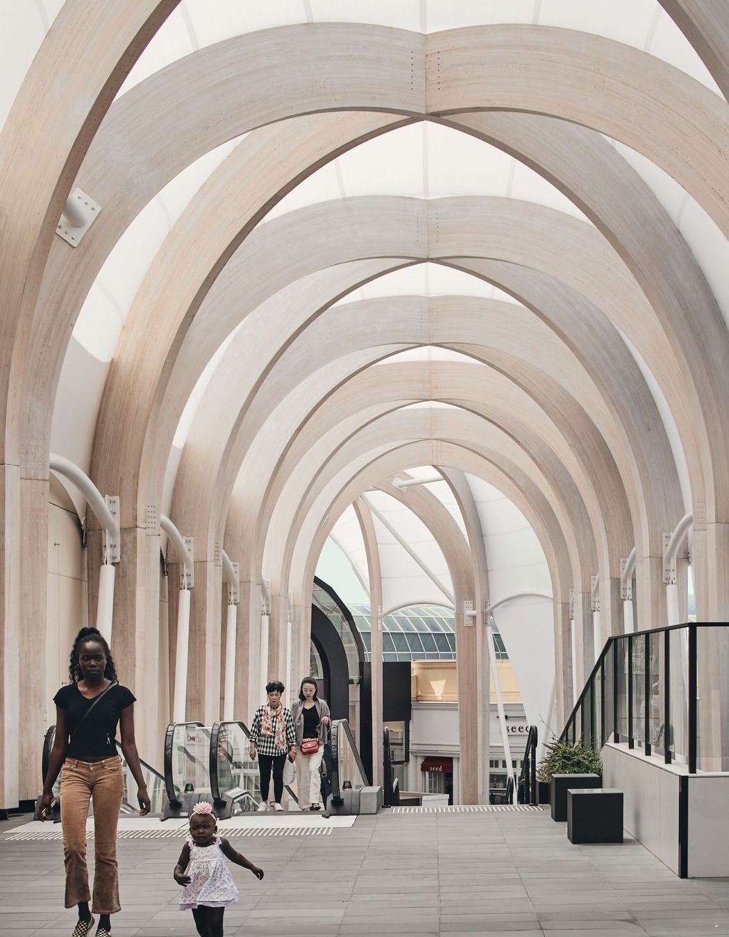 ##Chadstone Link 2019