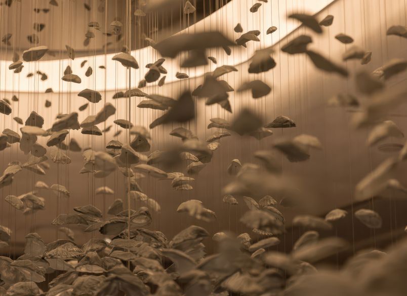 Corrs Chambers Westgarth, for Electrolight, Sydney.