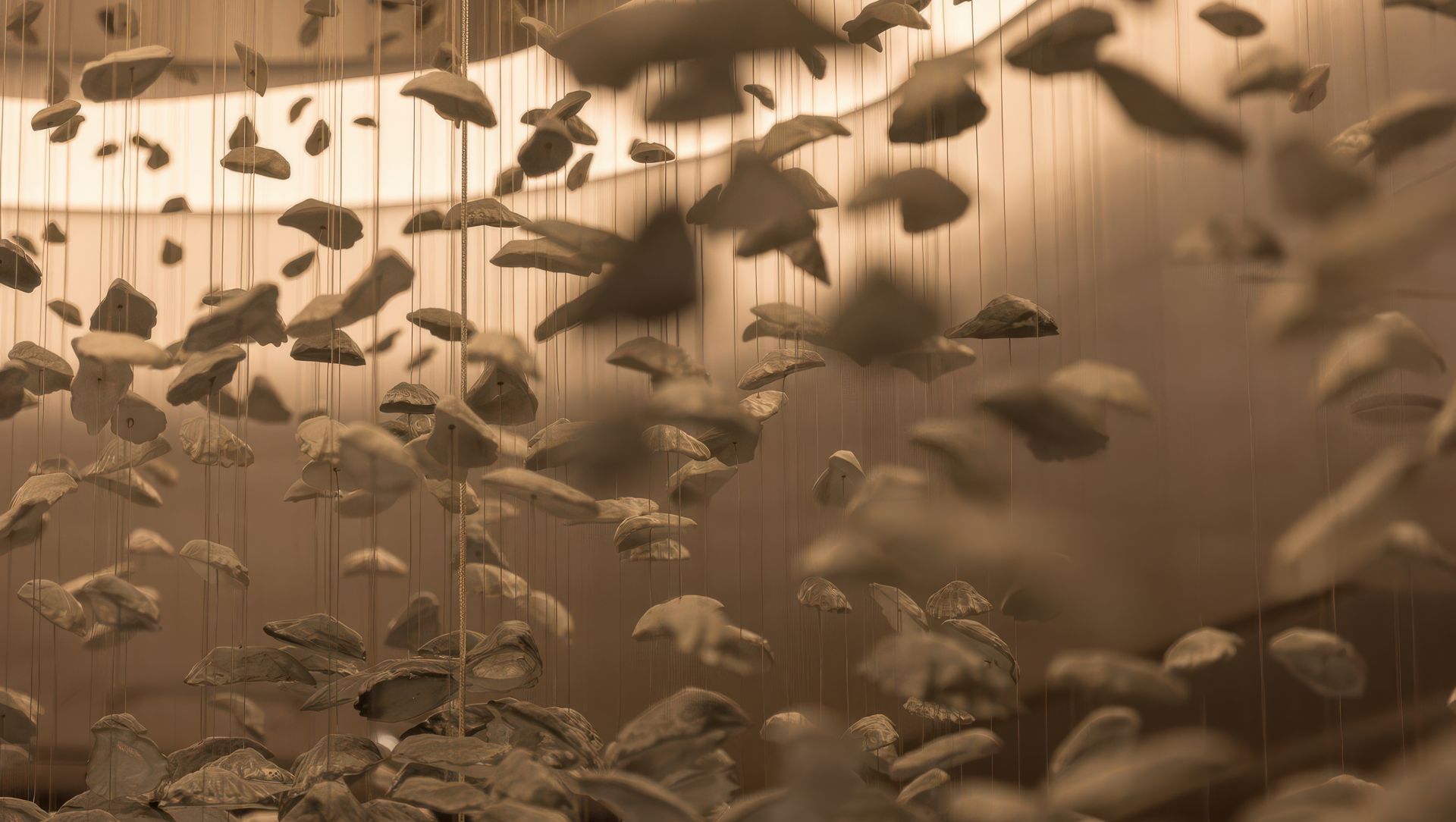 Corrs Chambers Westgarth, for Electrolight, Sydney. banner