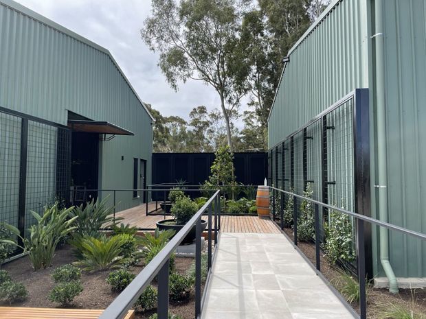 A landscaped external walkway runs between two long, tall buildings clad in pale green corrugated metal. The accessible concrete path has dark metal handrails and connects to timber decking, with planted garden beds, a rainwater downpipe, mesh fencing, and a barrel visible. The buildings have simple pitched or angled roof forms and a contemporary industrial character.