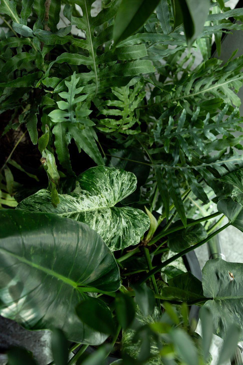 JP17511-biophilic-ap-compressed.jpg