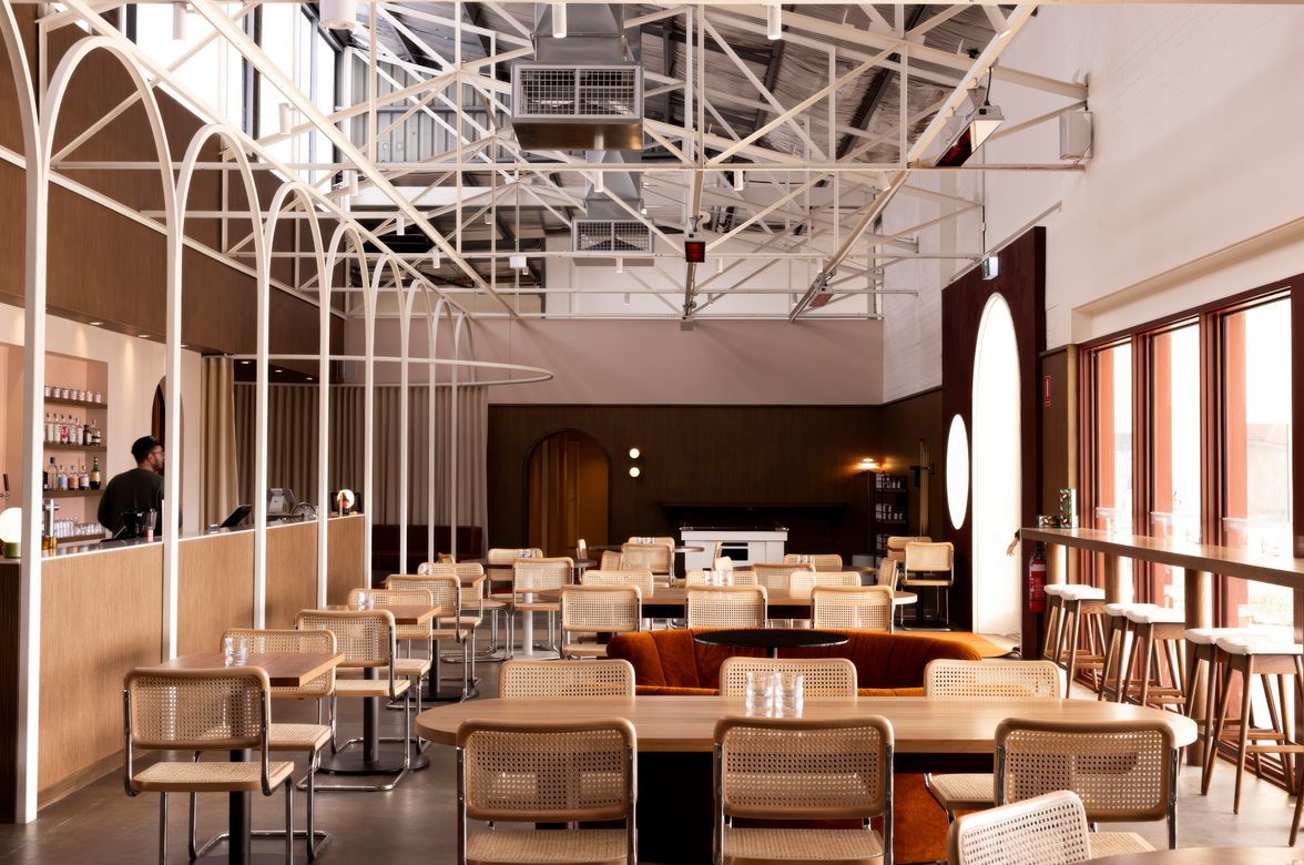 Yellow Matter – ‘Coolum Spotted Gum’