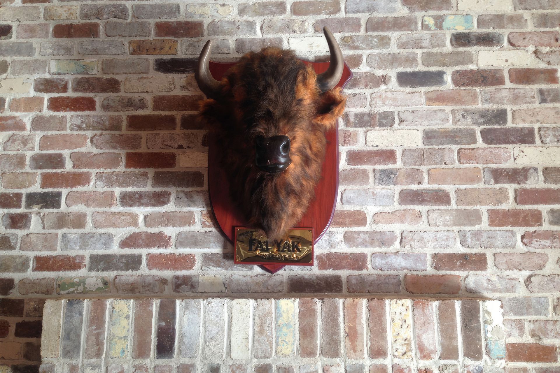 Photography Credit: The Brick Pit