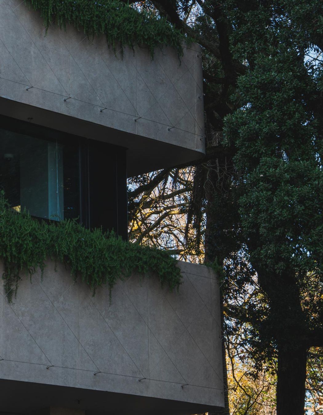 Northern Club Bankside Extension - balustrade and green facade project