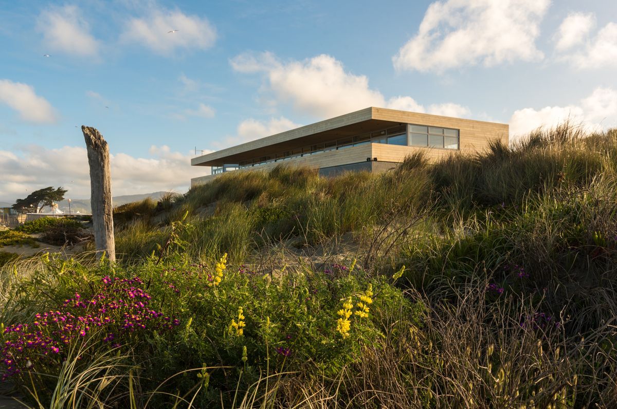 New Brighton Surf Club | Project of the Month