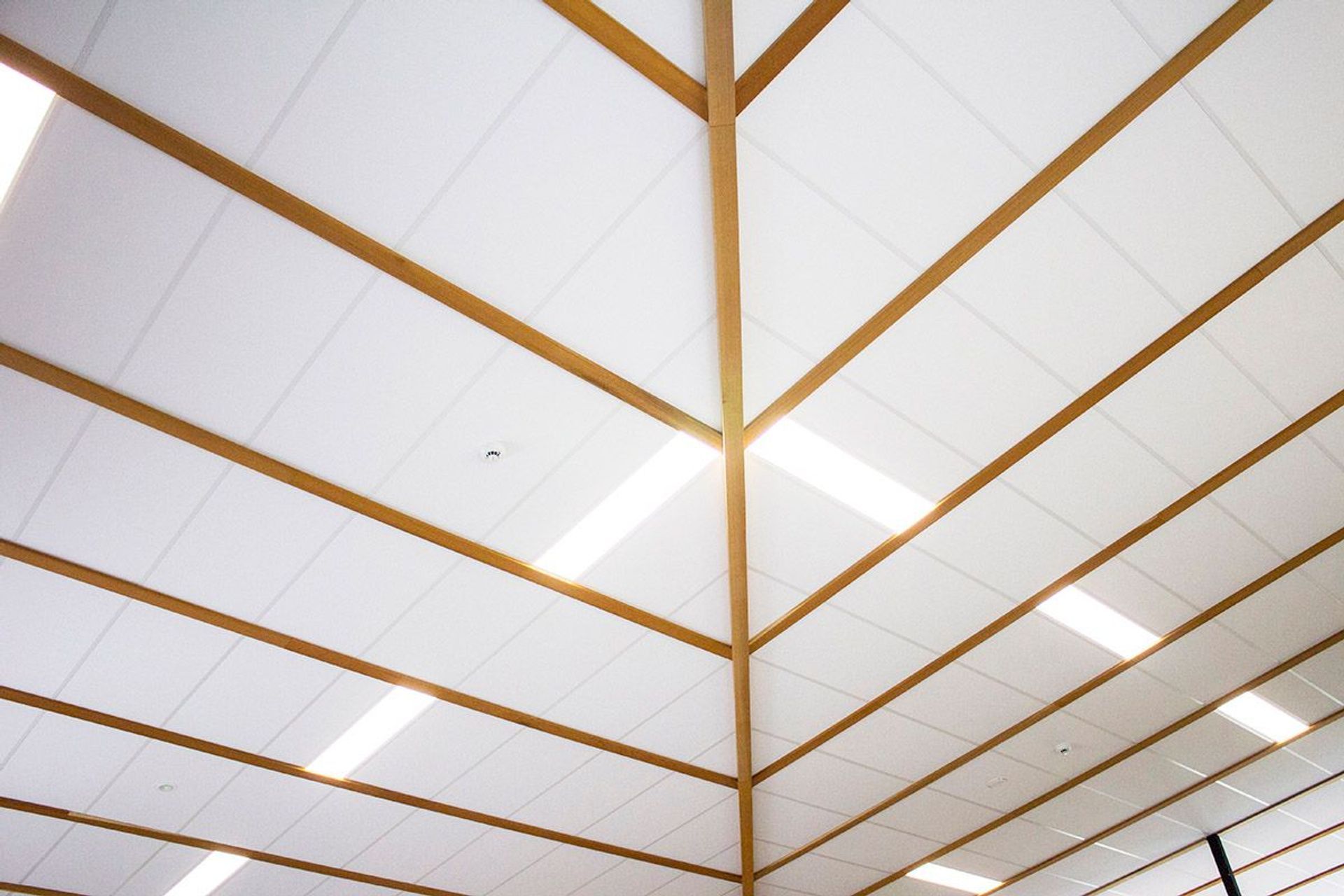 Te Pi'ipi'inga Kakano Mai Rangiatea