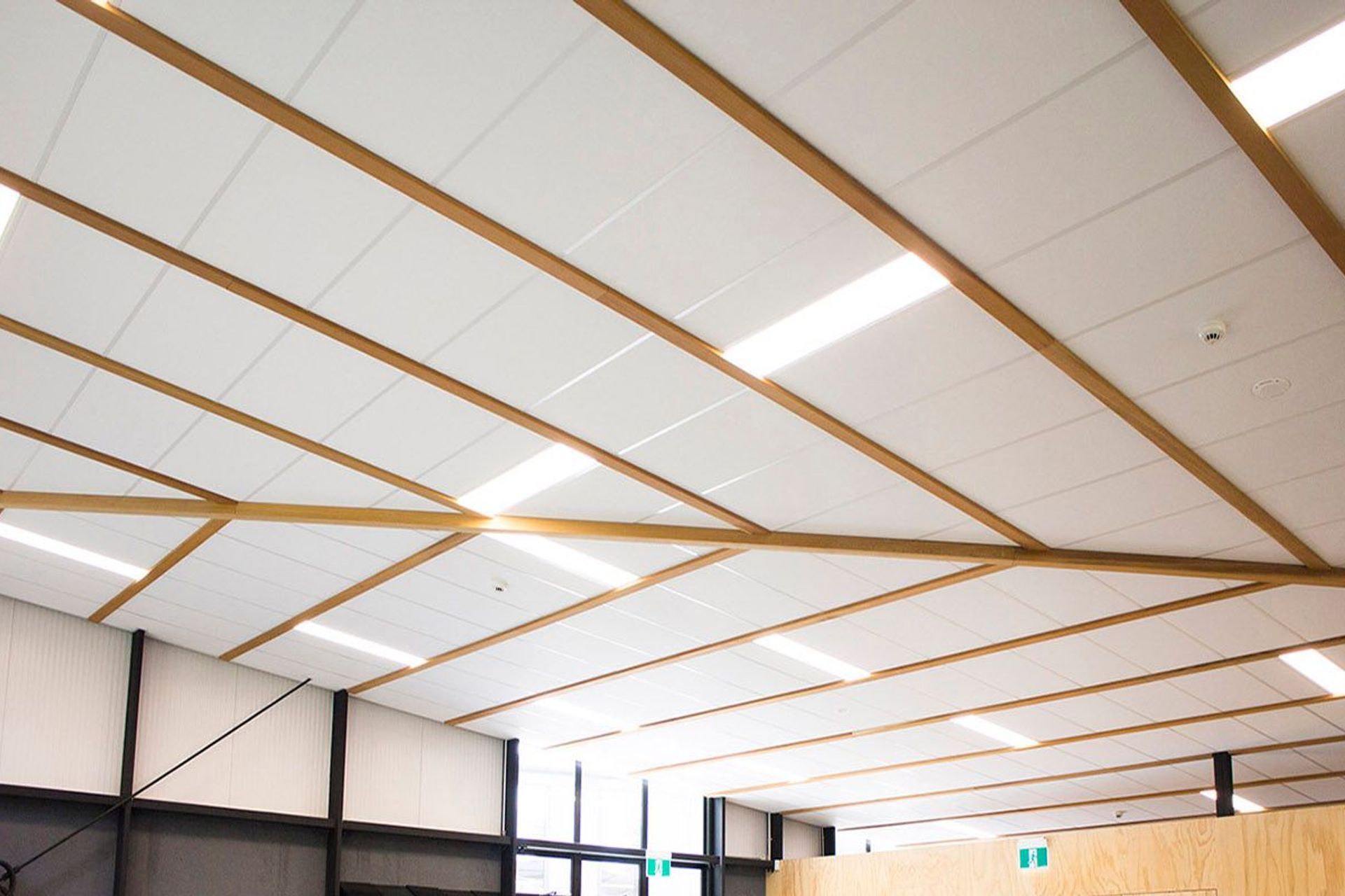 Te Pi'ipi'inga Kakano Mai Rangiatea