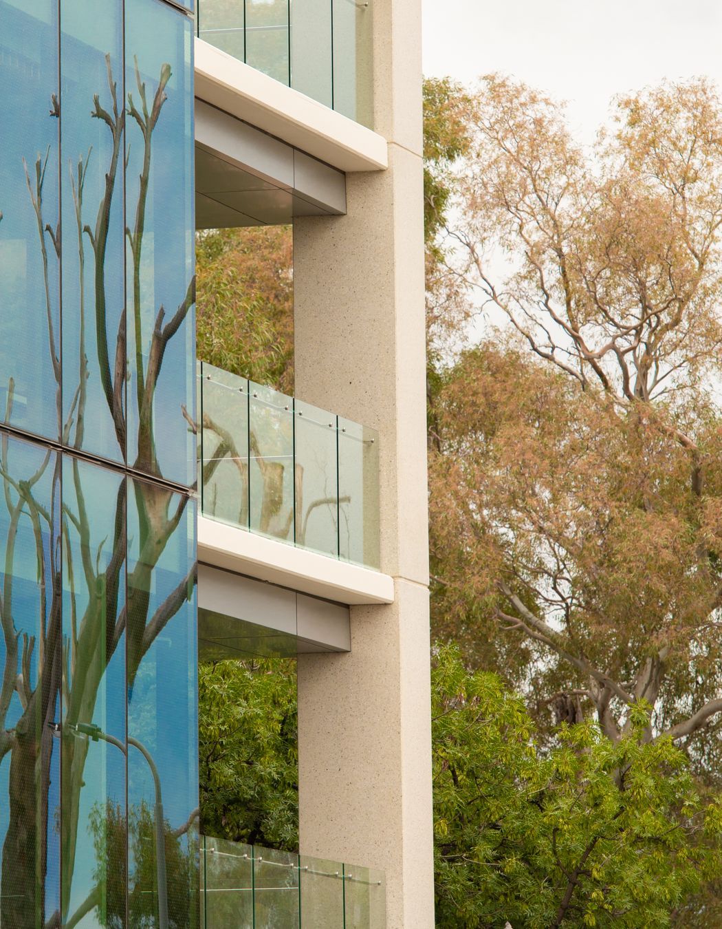 Rose Park Development