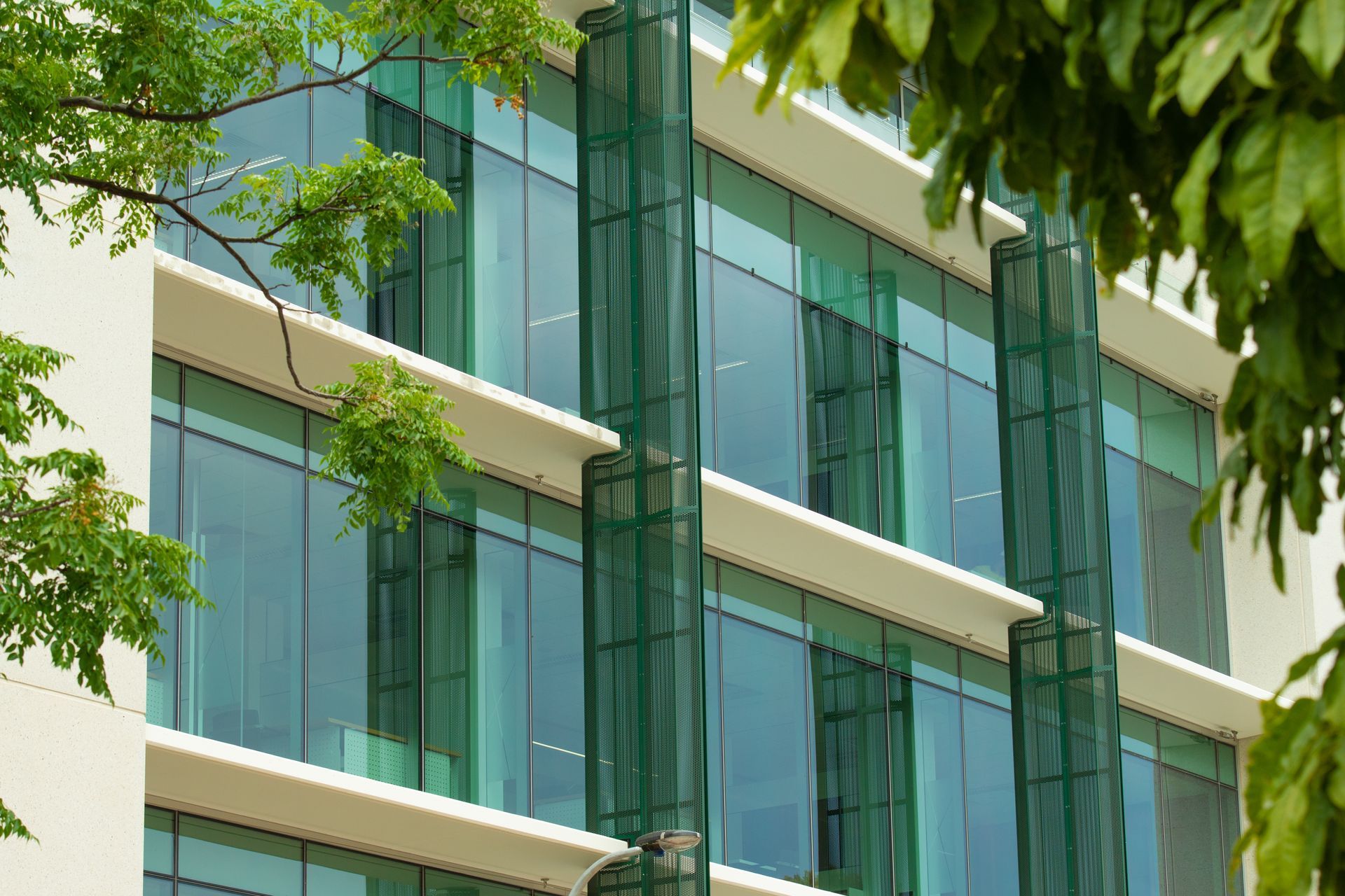 Rose Park Development