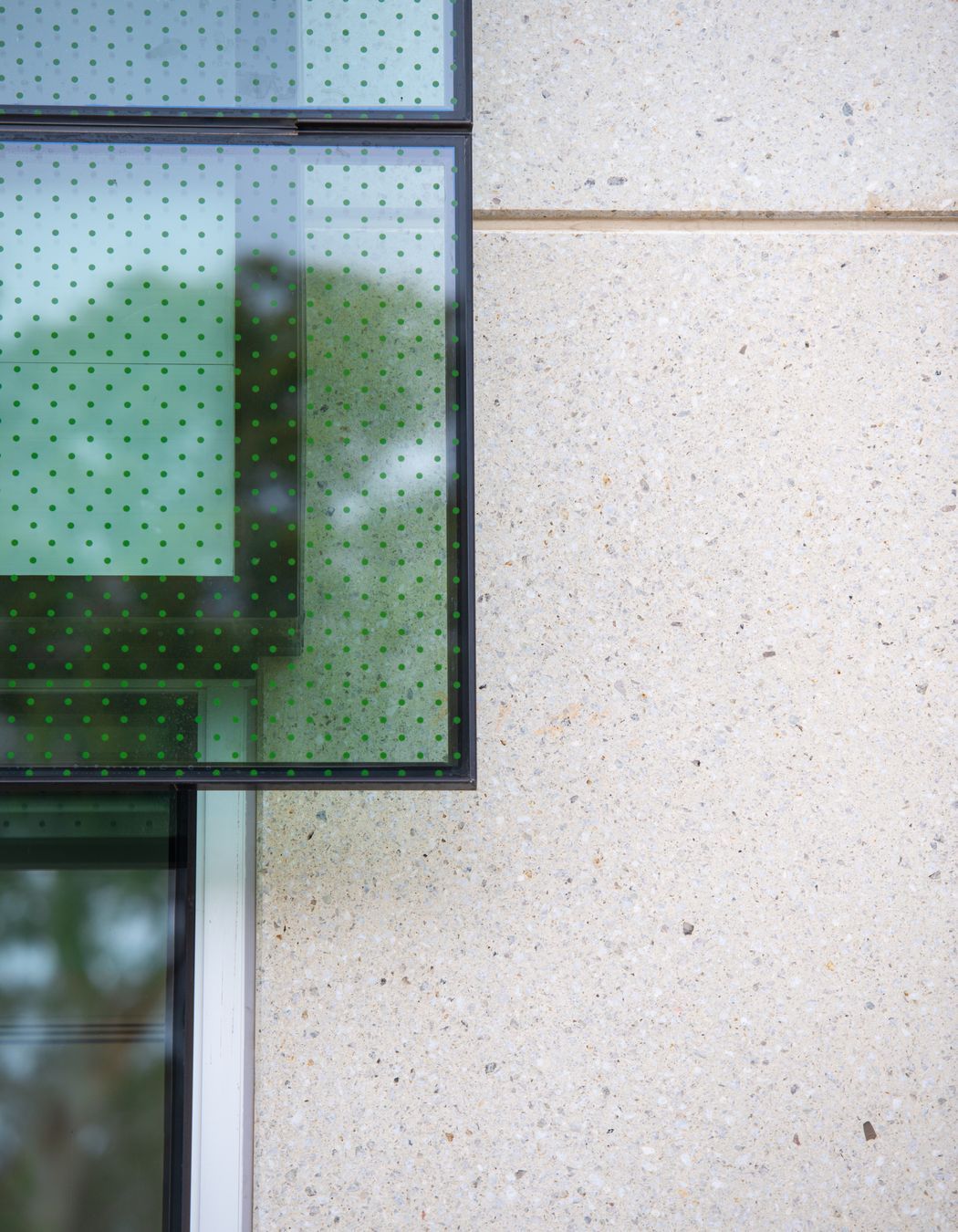 Rose Park Development