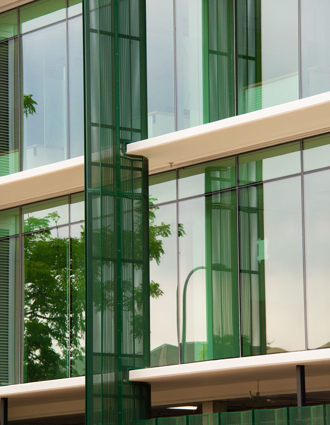 Rose Park Development