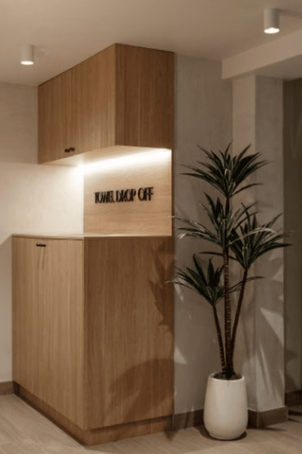 Untitled-design-3.png
