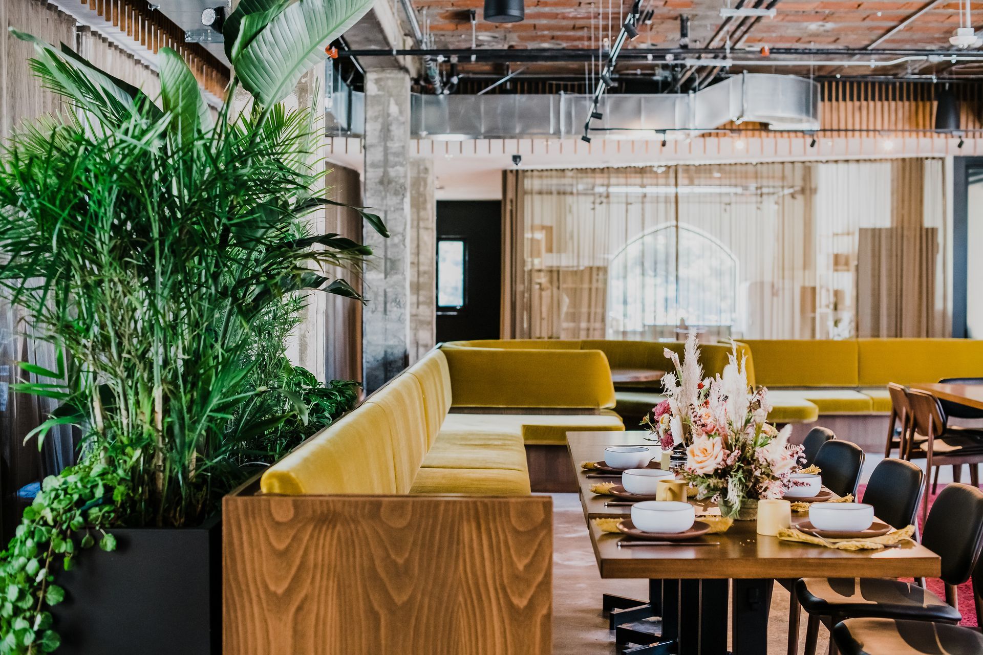 imgi413a.jpg