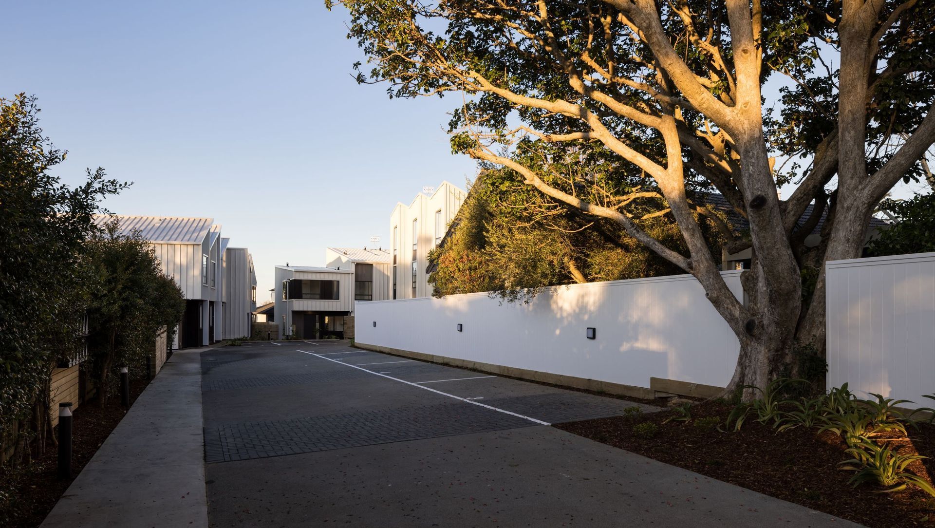 Kohimarama Views banner