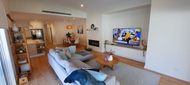 Bright open-plan living room with a pale sectional sofa, patterned rug, timber flooring, white walls, built-in media cabinetry, and a wall-mounted television. The kitchen and dining area are visible behind the living space, with open shelving, light timber cabinetry, and pendant lighting. Styling includes soft blue textiles, greenery, and warm timber accents.