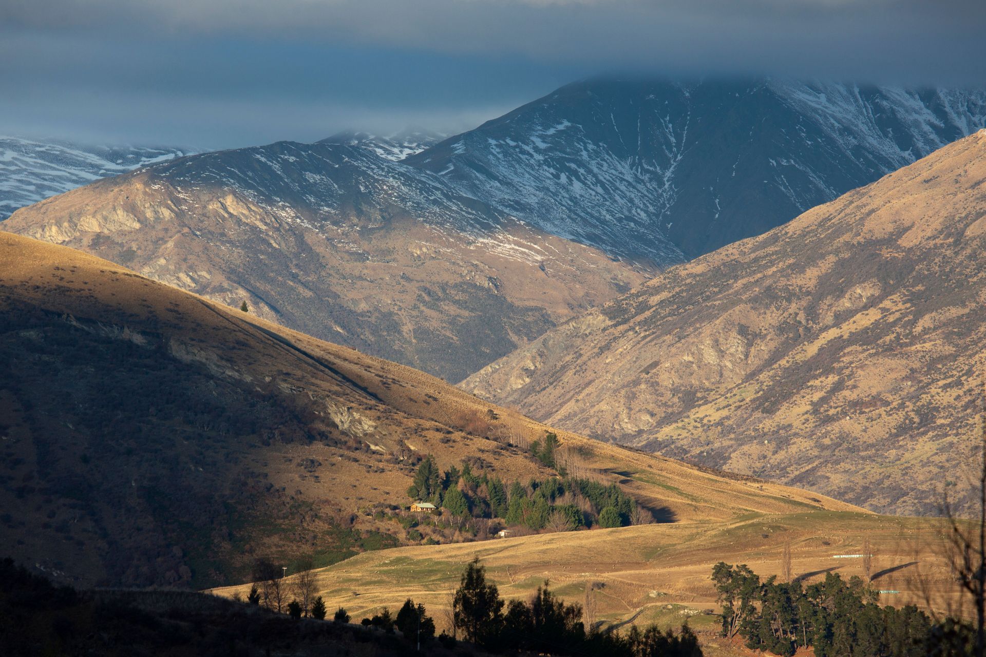 Residence du Parc | Koia Architects