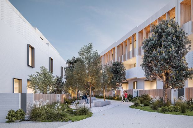 A landscaped shared courtyard within a contemporary multi-unit residential development. White perforated masonry walls and clean rectangular forms frame a pedestrian pathway, with warm timber-lined recessed balconies and vertical screening on the upper levels. Mature ornamental trees, grasses, low planting beds, concrete seating blocks, and pale aggregate paving create a calm communal outdoor setting. Residential unit numbers are visible near the entries.